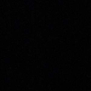 Meet your Posher, Winston